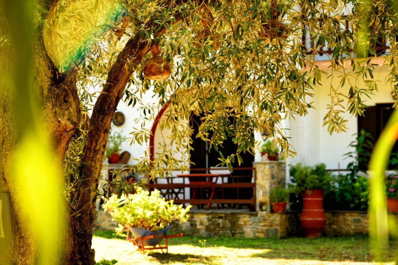 Spiros Rooms Panormos  Extérieur photo